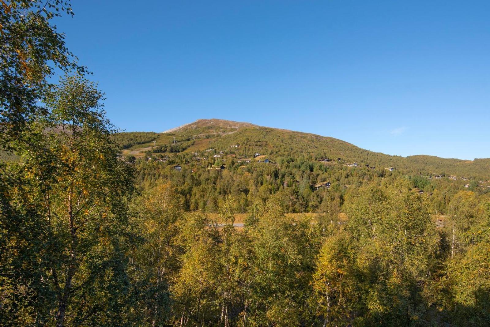 Central Mountain Penthouse Getaway, Strandafjellet Leilighet Stranda  Eksteriør bilde
